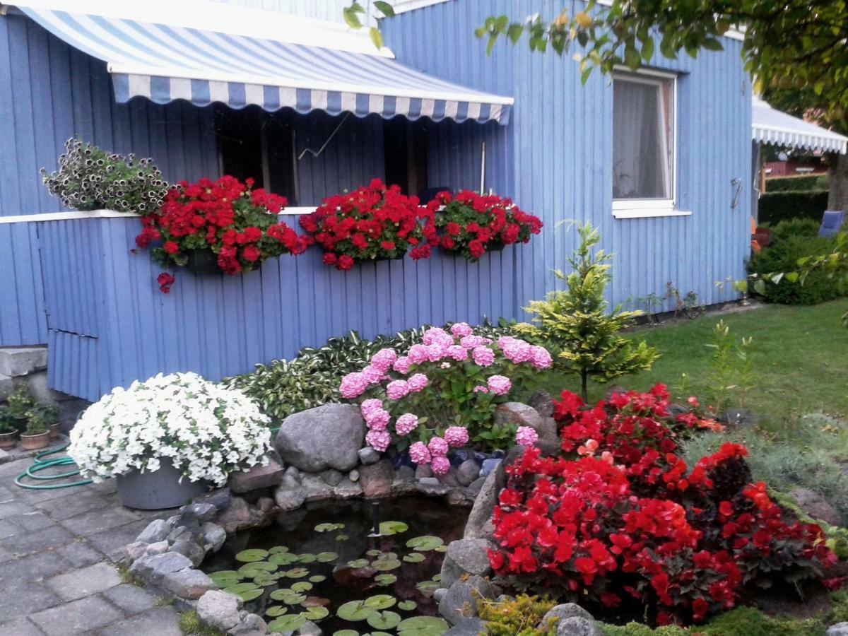 Kambariu Nuoma Ant Mariu Kranto Apartment Juodkrante Exterior photo